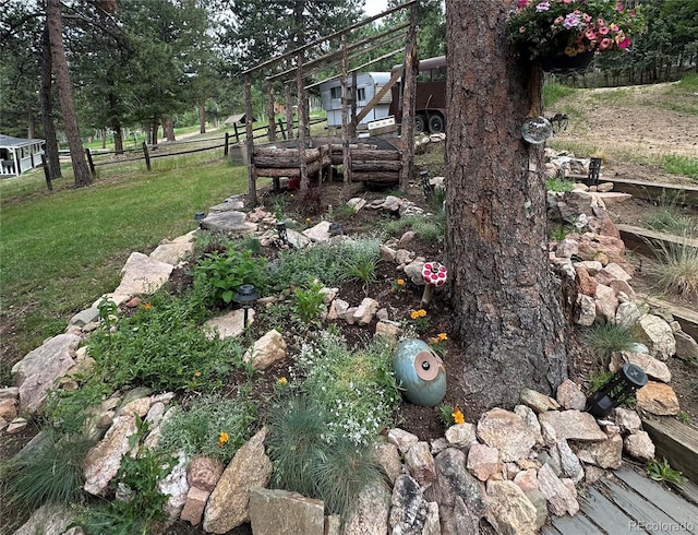 119 Yew Ln, Bailey, CO 80421 - view of yard