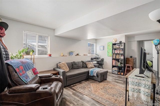 living room with wood finished floors