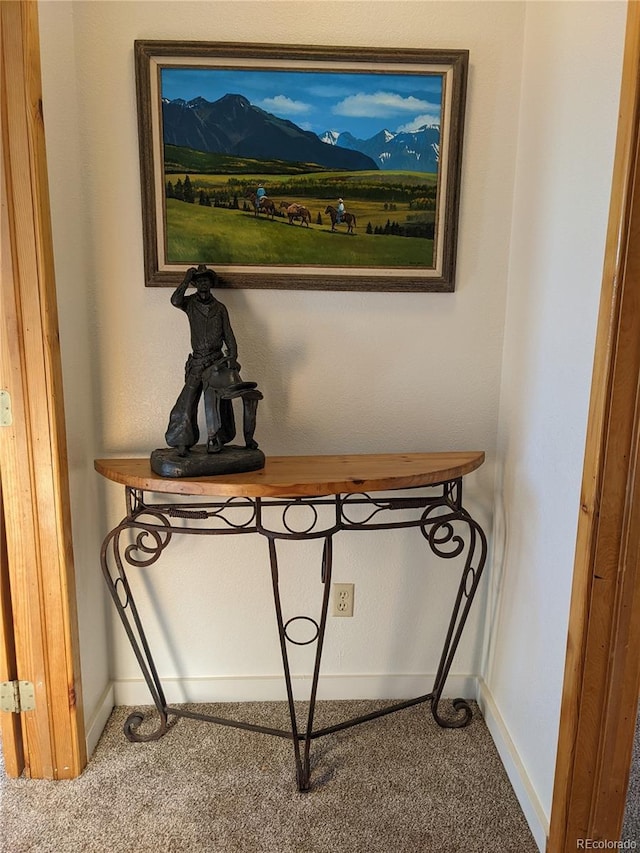 240 Fourth St, Fairplay, CO 80440 - detailed view of carpet floors, baseboards, and a mountainous background