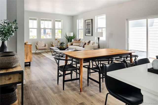 dining room with light hardwood / wood-style flooring and plenty of natural light