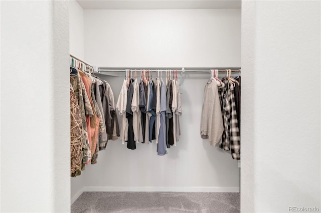 481 Vista Blvd, Brighton, CO 80603 - spacious closet featuring carpet