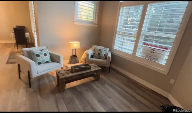 living area with wood-type flooring