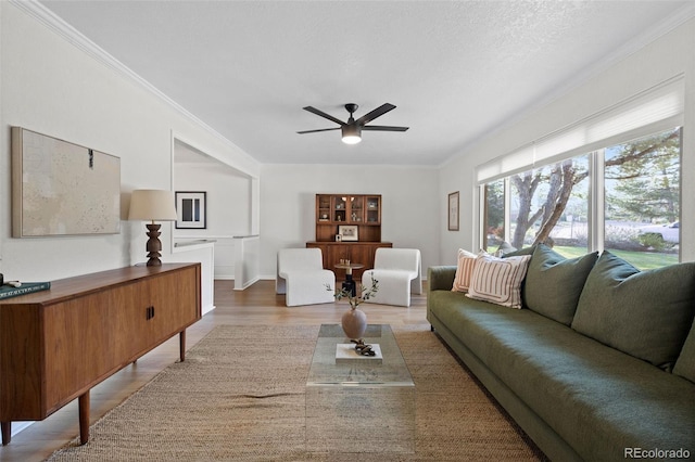 10801 W 29th Ave, Lakewood, CO 80215 - living room featuring crown molding, ceiling fan, and light wood-style floors