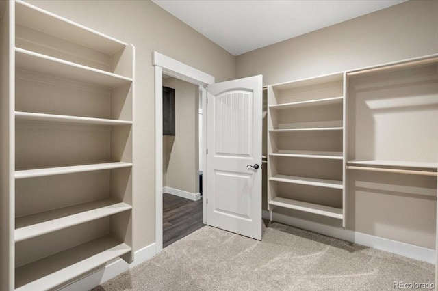 walk in closet with carpet flooring