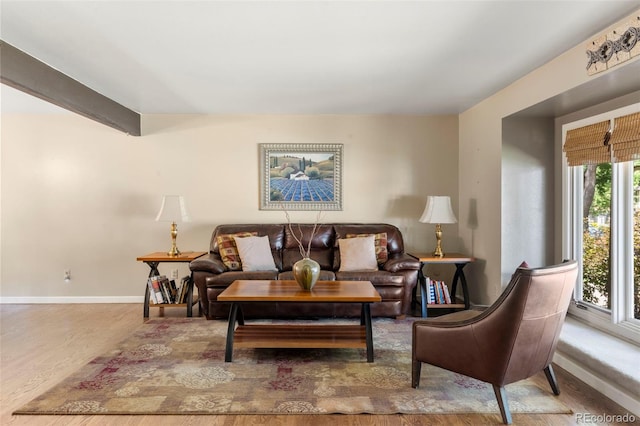 4810 W 102nd Pl, Westminster, CO 80031 - living room with baseboards and wood finished floors