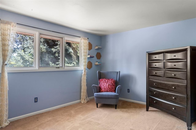 4810 W 102nd Pl, Westminster, CO 80031 - living area featuring light carpet and baseboards