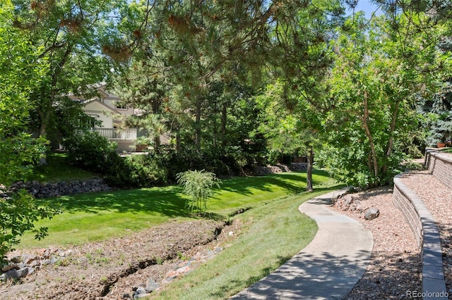 4810 W 102nd Pl, Westminster, CO 80031 - view of grassy yard