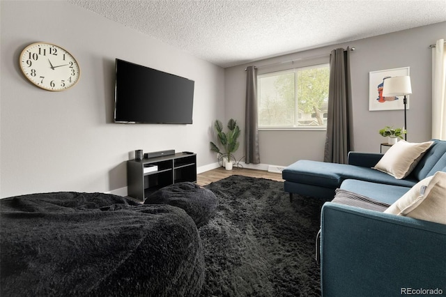 2271 Coronado Pkwy N Unit D, Denver, CO 80229 - living area with wood finished floors and a textured ceiling