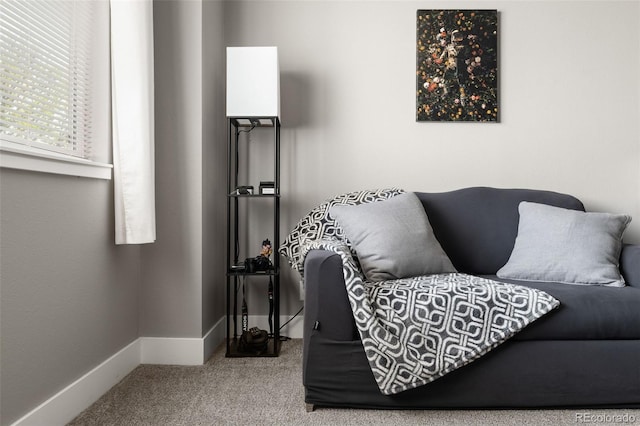2271 Coronado Pkwy N Unit D, Denver, CO 80229 - living room with carpet flooring and baseboards