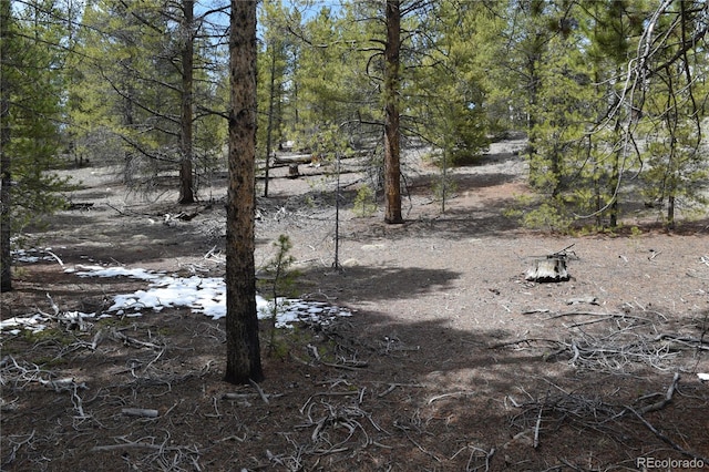 Listing photo 2 for 179 Birch Dr, Leadville CO 80461