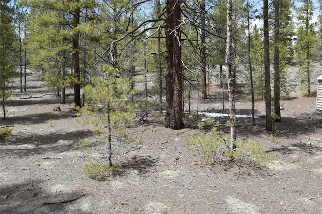 Listing photo 3 for 179 Birch Dr, Leadville CO 80461