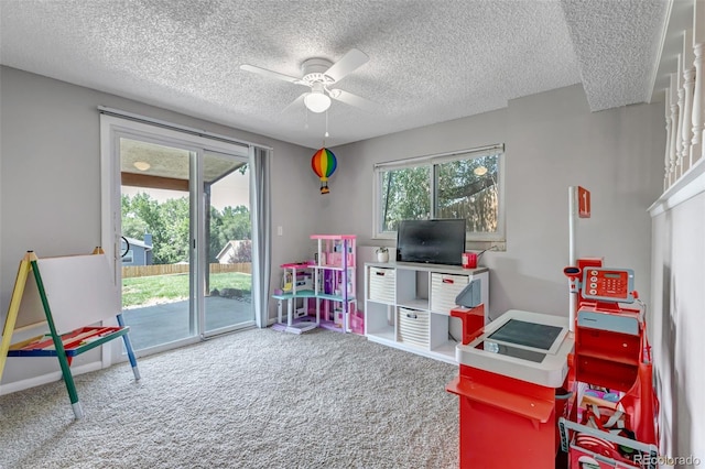 7335 Powderwash Dr, Colorado Springs, CO 80911 - photo 29
