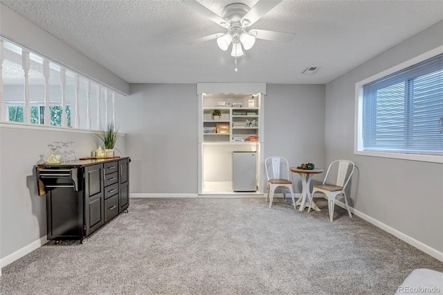 7335 Powderwash Dr, Colorado Springs, CO 80911 - photo 25