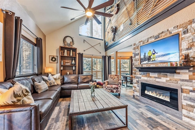 living room featuring a wealth of natural light, a fireplace, and wood finished floors