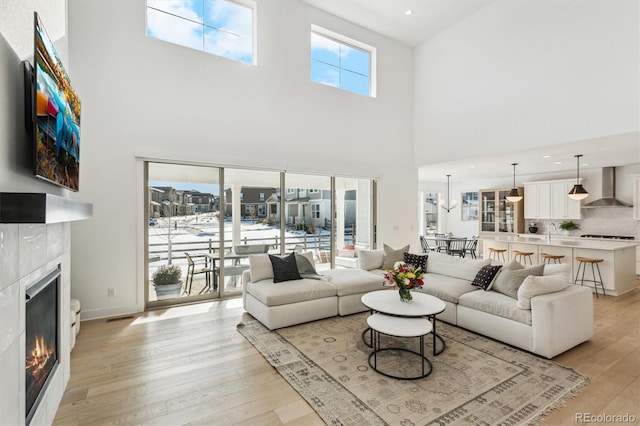 living room featuring a fireplace and light wood-type flooring