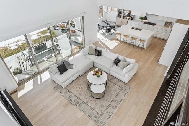 living room featuring sink and light hardwood / wood-style flooring