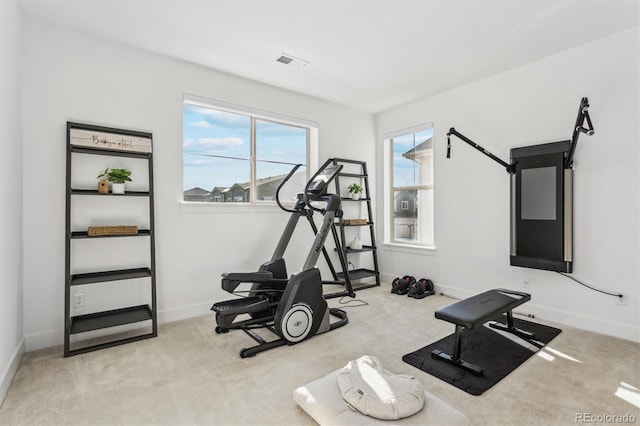 exercise area with light colored carpet