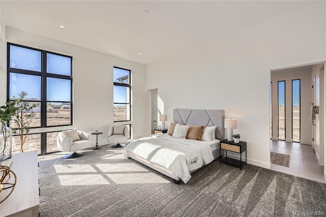 8648 Carneros Ct, Parker, CO 80138 - carpeted bedroom with baseboards and recessed lighting
