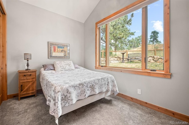 25350 Ridge Way, Golden, CO 80401 - photo 25