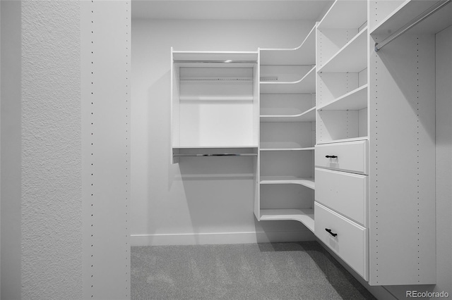 1753 Harlan St Unit 2, Denver, CO 80214 - photo 20