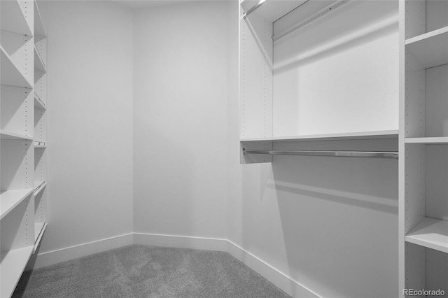 1753 Harlan St Unit 2, Denver, CO 80214 - photo 21