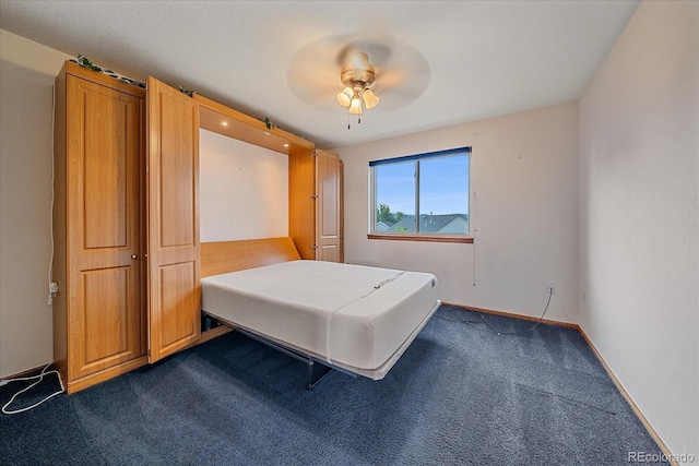 9875 Spring Hill St, Highlands Ranch, CO 80129 - photo 28