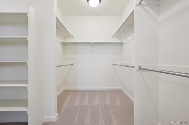 2515 Clayton Cir, Superior, CO 80027 - walk in closet with carpet flooring