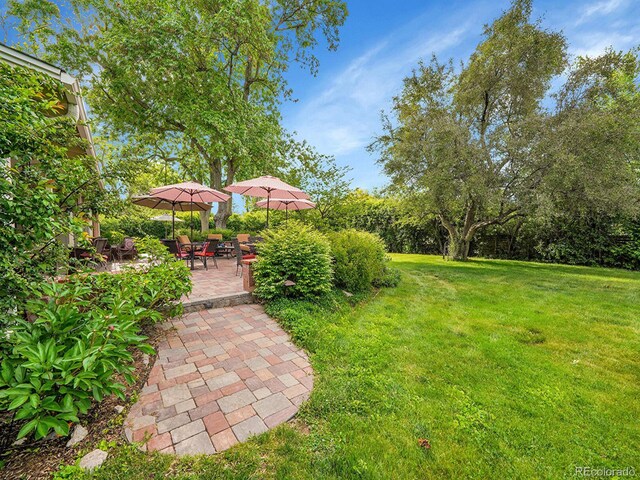 595 W Lake Ave, Littleton, CO 80120 - view of green lawn featuring a patio area