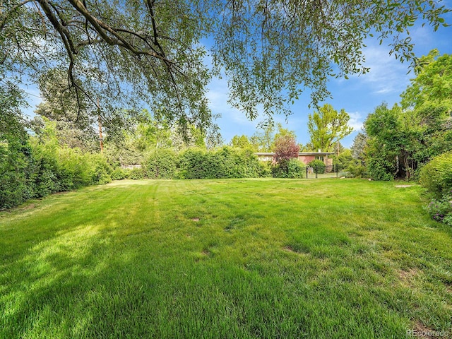 595 W Lake Ave, Littleton, CO 80120 - view of yard