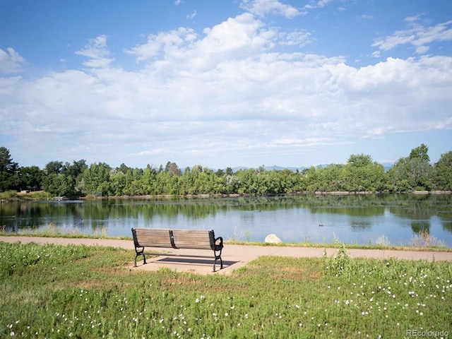 595 W Lake Ave, Littleton, CO 80120 - water view