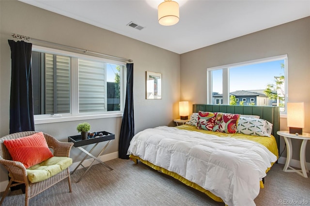 357 Pascal St, Fort Collins, CO 80524 - carpeted bedroom with multiple windows and baseboards