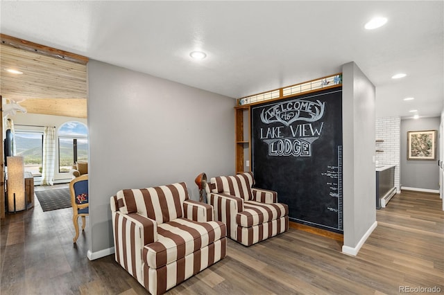 369 County Road 4051, Granby, CO 80446 - living area with wood finished floors, recessed lighting, baseboards, and a baseboard radiator