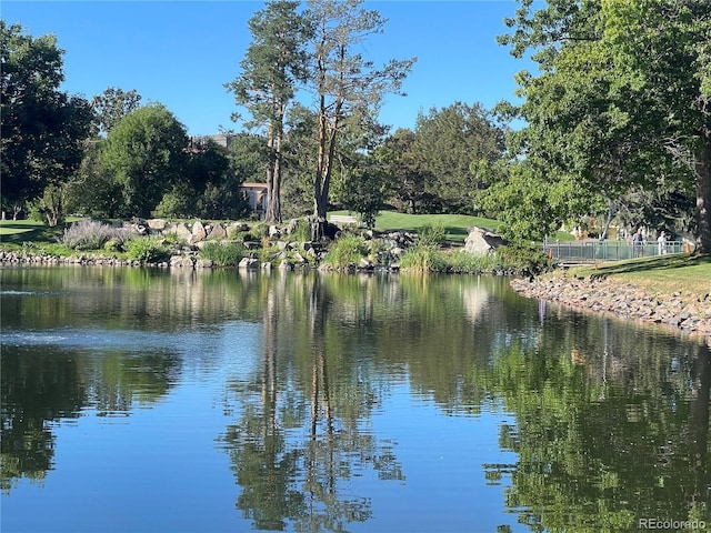 view of water feature