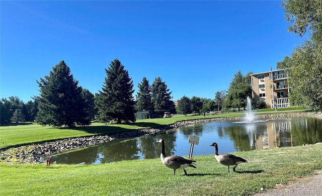 property view of water