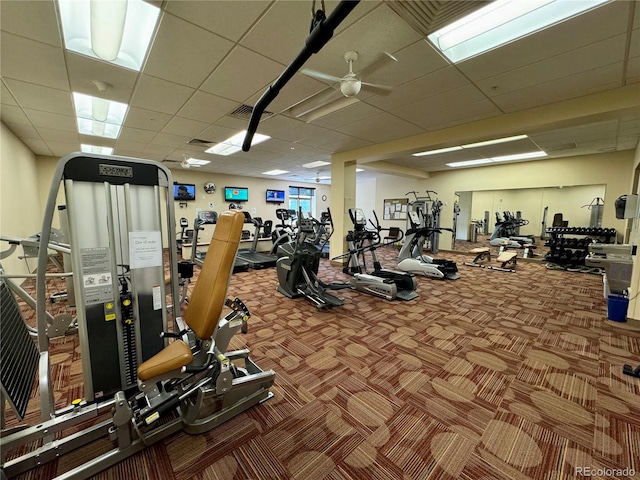 exercise room featuring visible vents, a ceiling fan, a drop ceiling, and carpet flooring