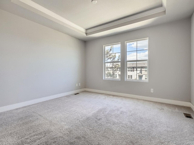 4773 Kittredge St, Denver, CO 80239 - spare room with a raised ceiling, light carpet, and baseboards