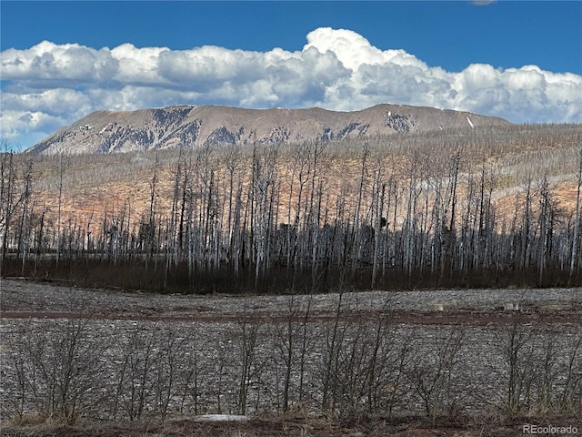 LOT1375 King Ln, Fort Garland, CO 81133 - photo 2