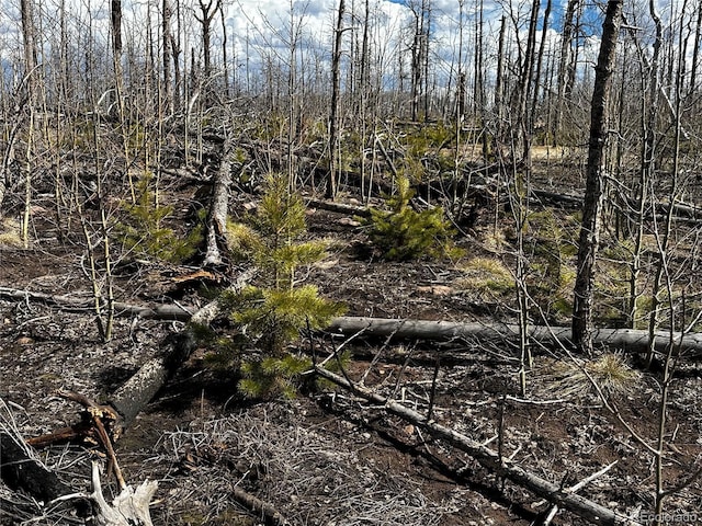 LOT1375 King Ln, Fort Garland, CO 81133 - photo 3