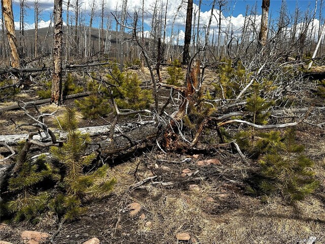 LOT1375 King Ln, Fort Garland, CO 81133 - photo 4