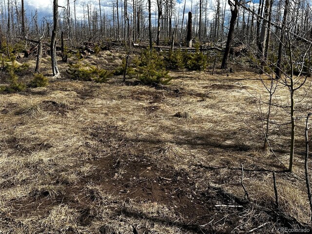 LOT1375 King Ln, Fort Garland, CO 81133 - photo 5
