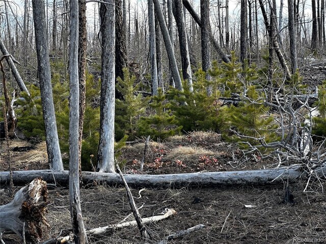 LOT1375 King Ln, Fort Garland, CO 81133 - photo 6