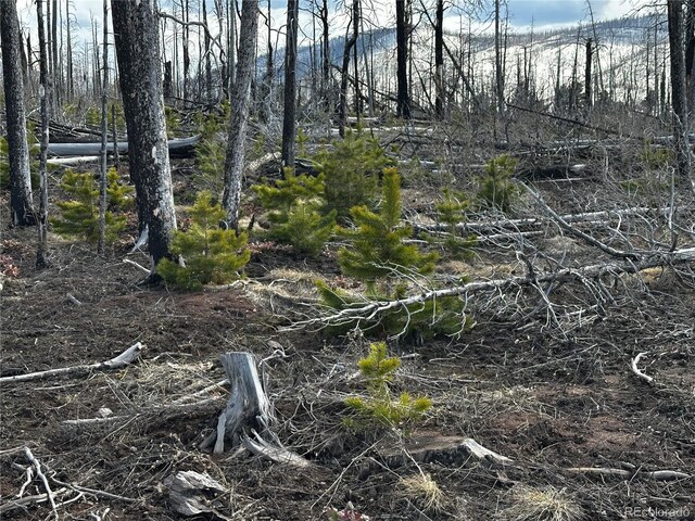 LOT1375 King Ln, Fort Garland, CO 81133 - photo 7