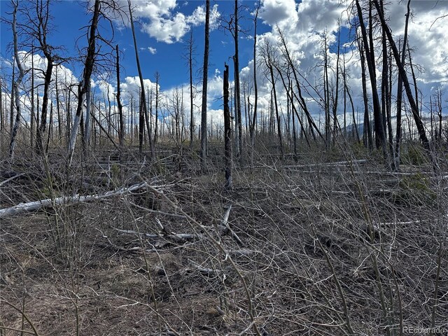 LOT1375 King Ln, Fort Garland, CO 81133 - photo 8