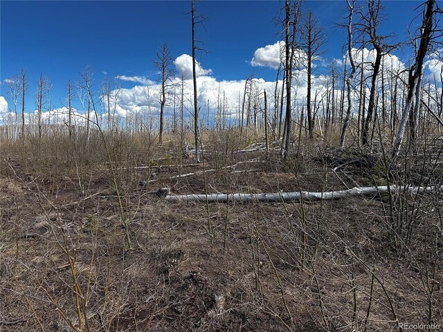 LOT1375 King Ln, Fort Garland, CO 81133 - photo 9