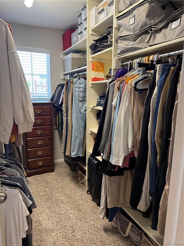 13326 Olive Way, Thornton, CO 80602 - spacious closet with carpet floors