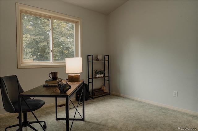 office space featuring a wealth of natural light and light colored carpet