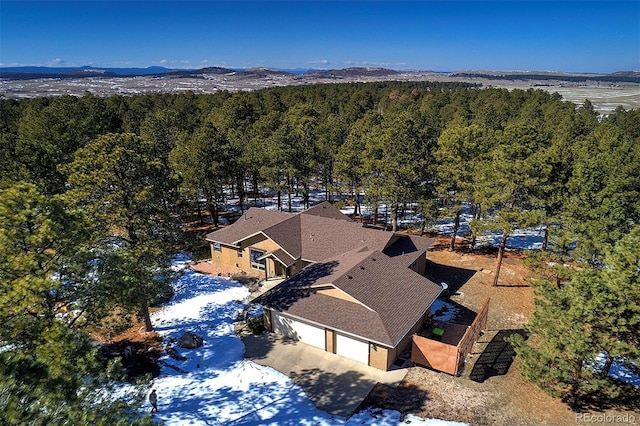 bird's eye view with a forest view