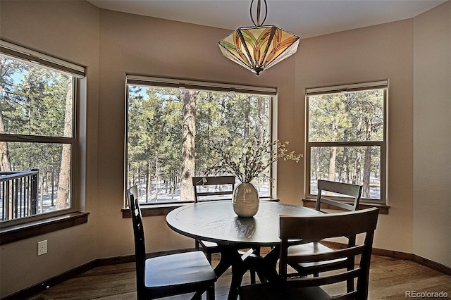 dining room featuring wood finished floors, baseboards, and a wealth of natural light