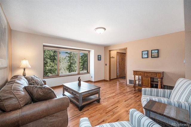 44 Conestoga Ct, Bailey, CO 80421 - living room with light wood-type flooring and baseboards