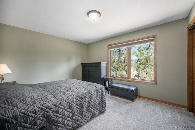 44 Conestoga Ct, Bailey, CO 80421 - bedroom featuring carpet floors and baseboards
